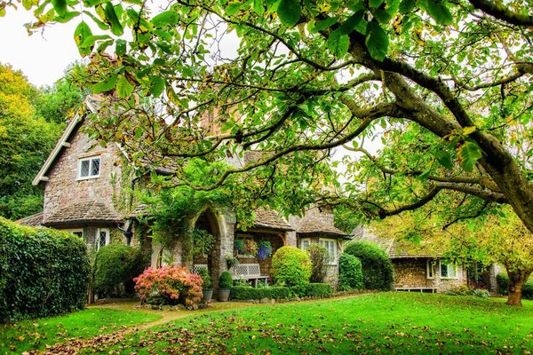 Quels sont les atouts majeurs d'un chalet haut de gamme ?