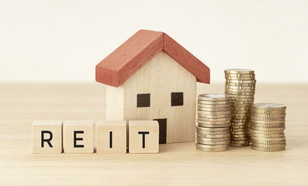 Investir malin : découvrez la scpi sofidynamic